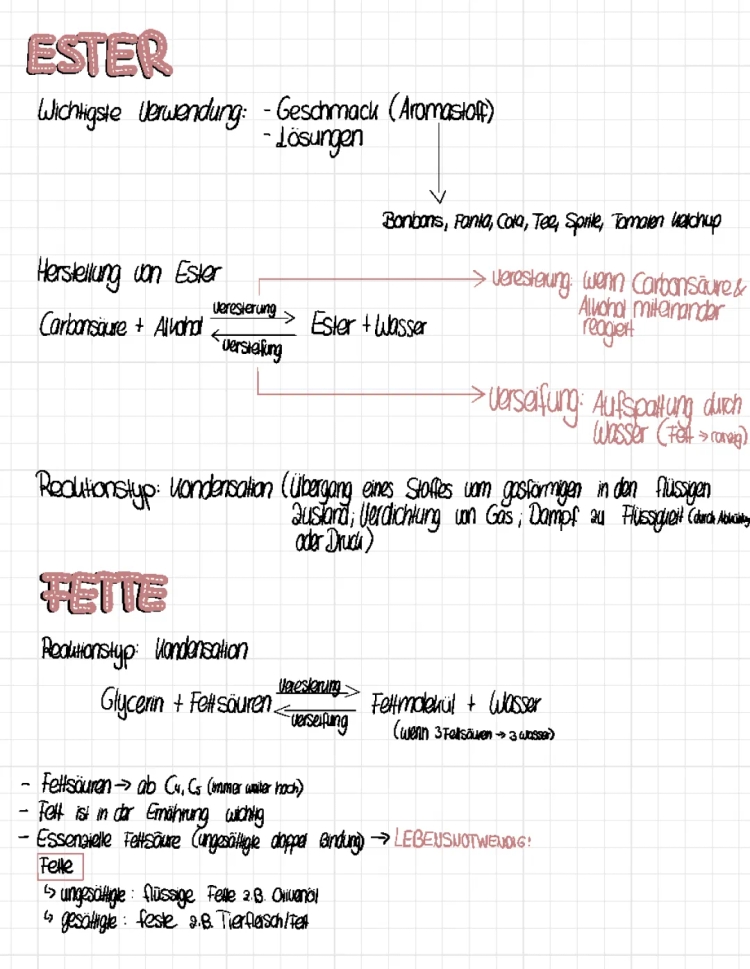 Ester Herstellung, Fette Overview und Photosynthese einfach erklärt für 10. Klasse