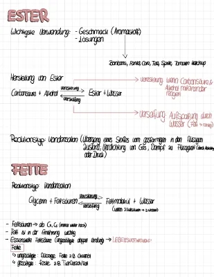 Ester Herstellung, Fette Overview und Photosynthese einfach erklärt für 10. Klasse