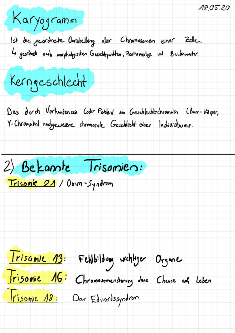 Trisomie 21 Ursachen und Symptome - Trisomien im Überblick