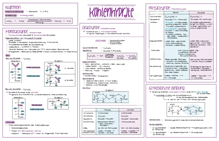 Monosaccharide und Polysaccharide: Beispiele, Lebensmittel und Glykosidische Bindung einfach erklärt