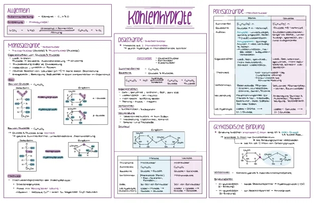 Monosaccharide und Polysaccharide: Beispiele, Lebensmittel und Glykosidische Bindung einfach erklärt