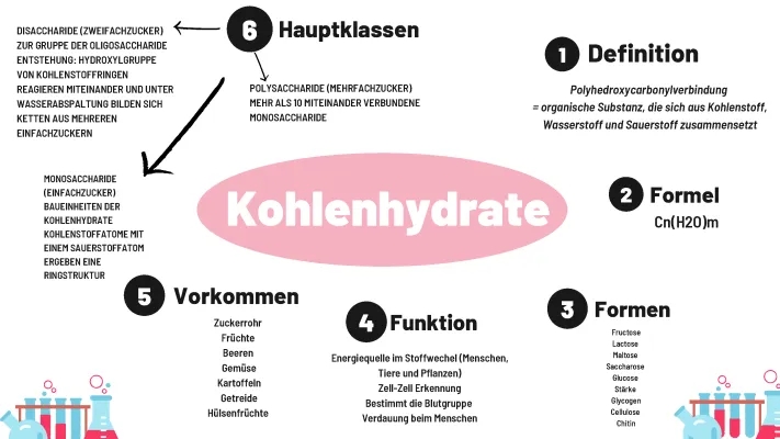 Was sind Kohlenhydrate? Aufbau, Funktion und Beispiele