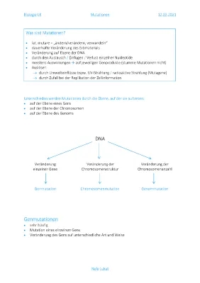 Was ist eine Mutation? Mutation einfach erklärt mit Beispielen