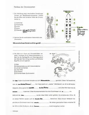 All About Chromosomes: Simple Guide for Kids