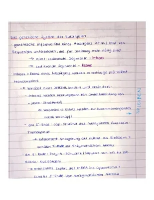 Genregulation und RNA-Prozessierung bei Eukaryoten - Einfach erklärt für Kids!