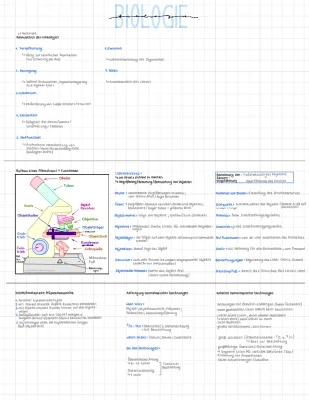 Mikroskop Aufbau und Funktion Arbeitsblatt PDF: Mikroskopische Zeichnung und Zellbiologie