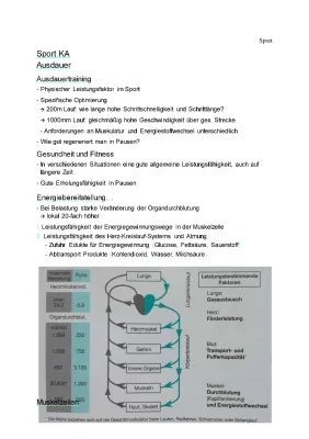 1000m Lauf Zeiten und Energiegewinnung einfach erklärt