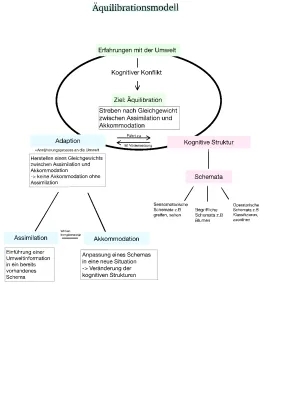 Äquilibration Piaget einfach erklärt: Beispiele, Akkomodation und Assimilation