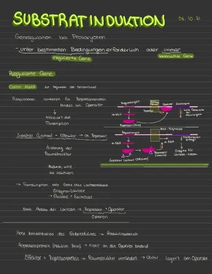 Substratinduktion und Endproduktrepression einfach erklärt - Beispiele für Prokaryoten und Eukaryoten