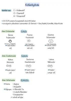 Kohlenhydrate Arten: Tabellen, Beispiele und Vorkommen