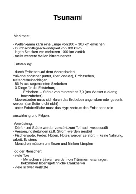 Wie entsteht ein Tsunami? Alles über Tsunamis, ihre Entstehung und Schutzmaßnahmen