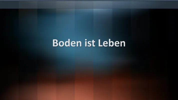 Was ist Boden? Aufbau, Funktion und Lebewesen einfach erklärt