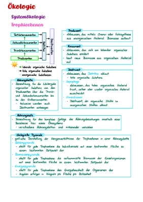 Alles über Trophieebenen und ökologische Pyramiden