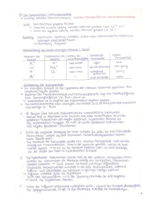 Ruhepotential und Aktionspotential bei Nervenzellen einfach erklärt