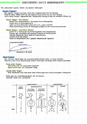 Aktiver und Passiver Transport einfach erklärt: Diffusion, Beispiele und mehr