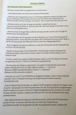 Einfache Erklärung der DNA-Replikation mit Fließschema und Beschriftung (PDF)