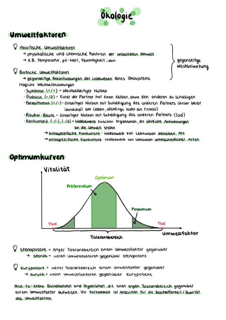 Ökologische Potenz und Tiere: Zusammenfassung für die Abi