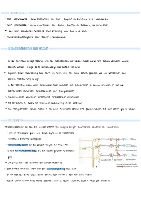 Blutzuckerregulation einfach erklärt - Abitur 2022