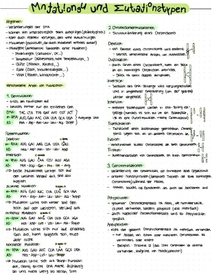 DNA: Aufbau, Funktion und Bedeutung einfach erklärt