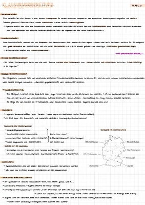 Was ist Sprachwandel? Beispiele und Definition