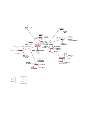 Barock Mindmap: Musik, Autoren, Lyrik und Geschichte