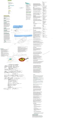 Unterschied Prokaryoten und Eukaryoten - Aufbau, Zellorganellen und DNA