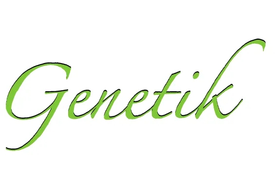 Biologie Abitur NRW 2023: DNA & Genetik einfach erklärt