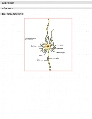 Nervenzelle Aufbau und Funktion - Lernzettel für Neurobiologie und Evolution