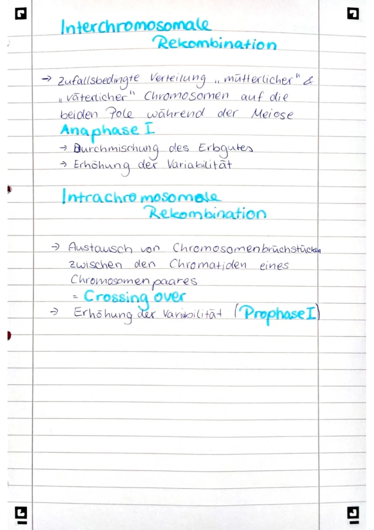 Understanding Interchromosomal And Intrachromosomal Recombination