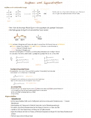 Fette: Aufbau, Eigenschaften und Funktionen einfach erklärt