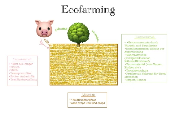 Was ist Ecofarming? Einfach erklärt für Kinder!