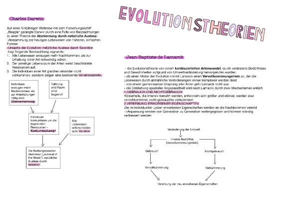 Lamarck vs Darwin: Easy Evolution and Synthetic Theory for Kids