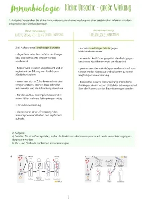 Aktive und passive Immunisierung - Vorteile, Beispiele und Tabelle für Kinder