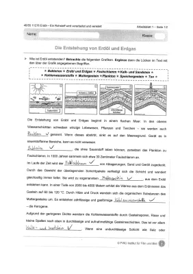 Entstehung von Erdöl und Erdgas - Arbeitsblatt, Skizze und einfache Erklärung