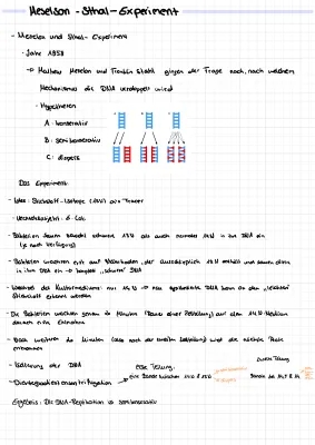 Meselson-Stahl-Experiment einfach erklärt: Arbeitsblatt & PDF