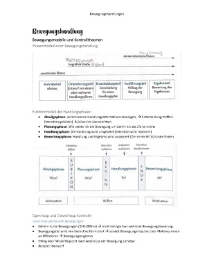 Bewegungshandlung Erklärung und Bewegungsanalyse Beispiele - Sport LK & Physiotherapie