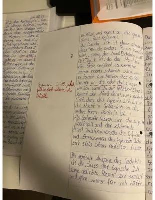 Gedichtanalyse Klausur 11: Übung und Lösung für Deutsch Q1