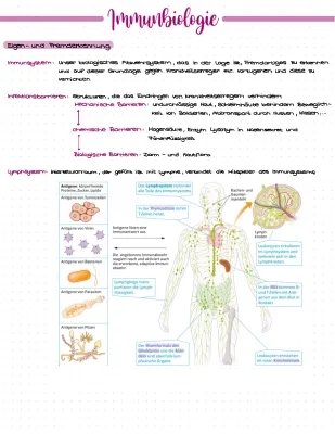 Immunbiologie Aufgaben und Lösungen für das Biologie-Abitur