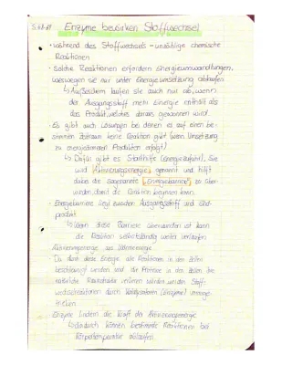 Enzyme Stoffwechsel: Einfach erklärt für Kinder mit Beispielen und Schlüssel-Schloss-Prinzip