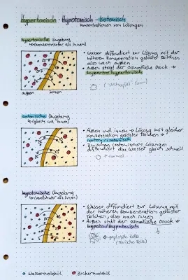 Hypertonische, Hypotonische und Isotonische Lösungen - Einfach Erklärt für Kinder