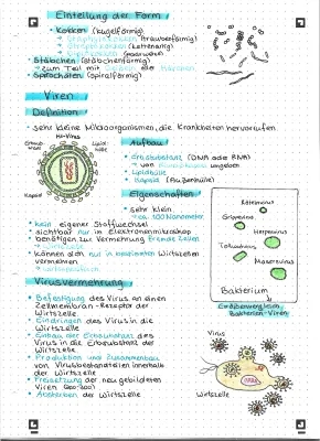 Bakterien, Viren, Pilze & Protozoen – Unterschied & Tabelle