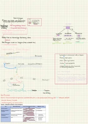 Understanding Proto-Oncogenes: Easy Examples and Cool Facts