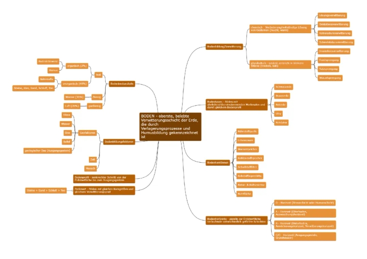 Bodenbildung einfach erklärt - Alle Bodenarten und Bodenhorizonte