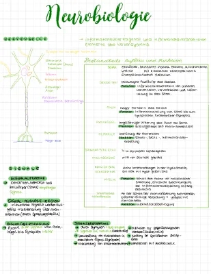 Nervenzelle: Aufbau, Funktion und Synapse erklärt