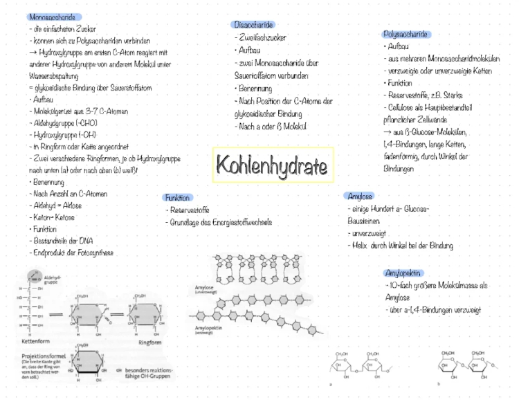 Kohlenhydrate: Aufbau und Funktion, Beispiele und Eigenschaften für Kinder