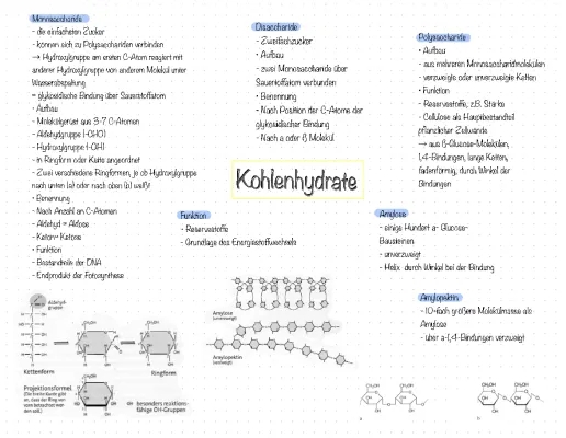 Kohlenhydrate: Aufbau und Funktion, Beispiele und Eigenschaften für Kinder