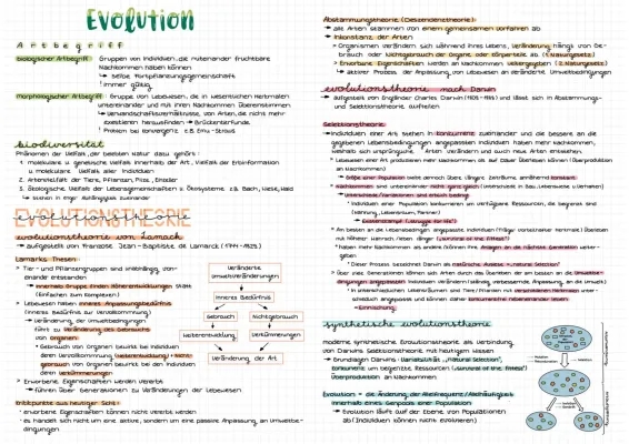 Lamarck und Darwin Evolutionstheorien einfach erklärt, Artbegriff Definitionen und Beispiele