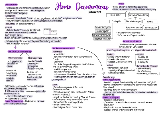 Homo oeconomicus