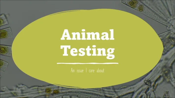 Understanding Animal Testing: Banned Countries, Cosmetic Testing, and Alternatives