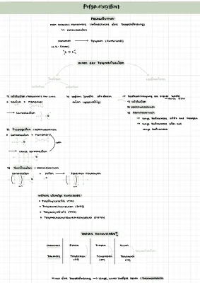 Polymerisation leicht erklärt: Beispiele und Mechanismen